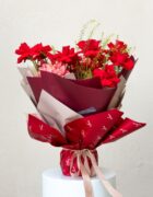 Scarlet Whimsy