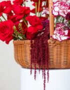 Scarlet Picnic - Image 2