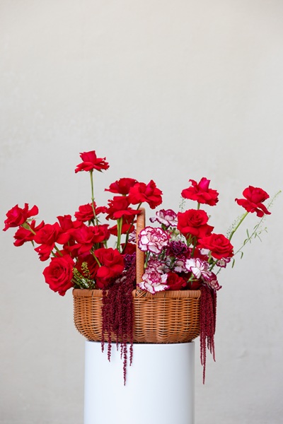 Scarlet Picnic