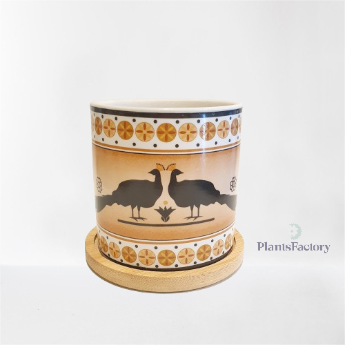 Ceramic Peacocks Pot