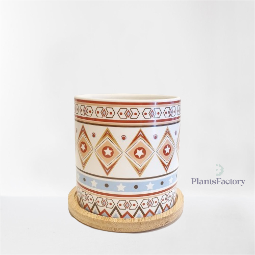 Ceramic Matrix Pot