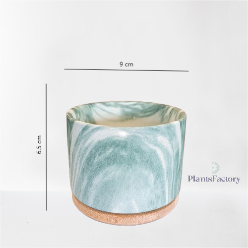 Dana Ceramic Pot - Green