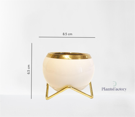 Zayn Ceramic Pot - Pink