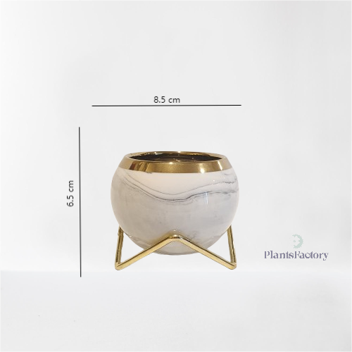 Anna Ceramic Pot - White