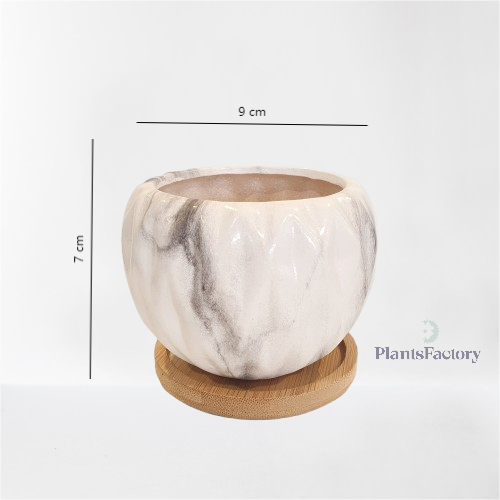 Lan Lauv Ceramic Pot