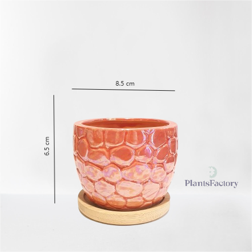 Dane Ceramic Pot - Pink