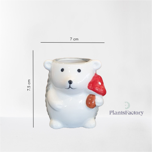 Ceramic Hedgehog Pot