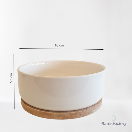 Round White Ceramic Planter