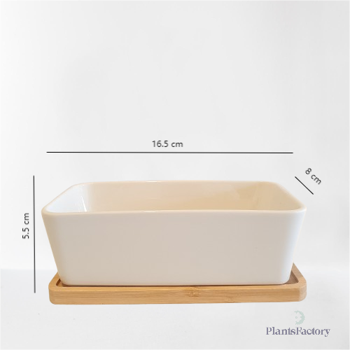 Rectangle White Ceramic Planter