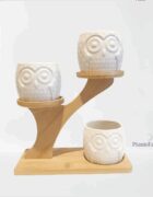 Owl Succulent Planter with Bamboo Stand