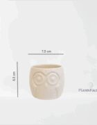 Owl Succulent Planter with Bamboo Stand - Image 2