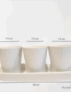 3 White Ceramic Planter Set