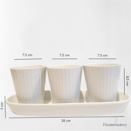 3 White Ceramic Planter Set